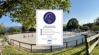 Nos labellisés vous en parlent !