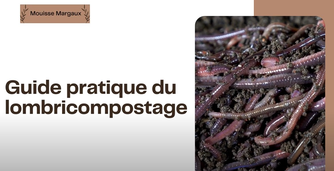 Guide pratique sur le lombricompostage